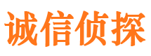 环江侦探公司